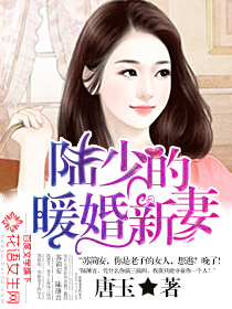 陆少的暖婚新妻封面
