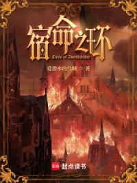 宿命之环封面