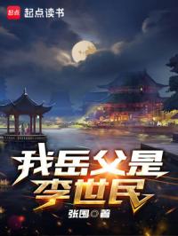 我岳父是李世民封面