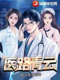 医路青云封面